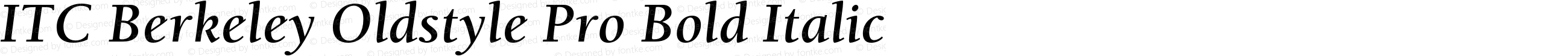 ITC Berkeley Oldstyle Pro Bold Italic