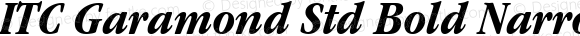 ITC Garamond Std Bold Narrow Italic