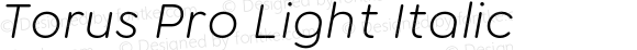 Torus Pro Light Italic