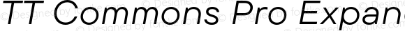 TT Commons Pro Expanded Italic