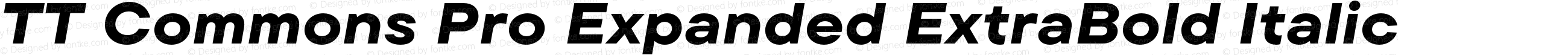 TT Commons Pro Expanded ExtraBold Italic