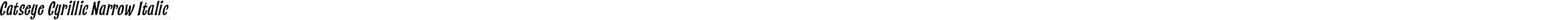 Catseye Cyrillic Narrow Italic