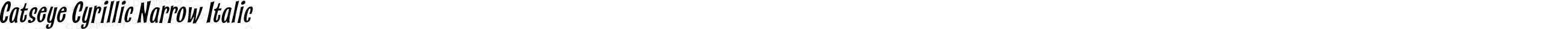 Catseye Cyrillic Narrow Italic