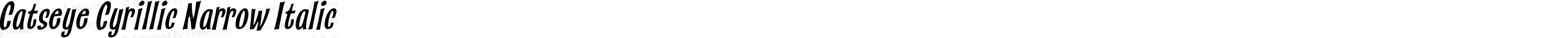 Catseye Cyrillic Narrow Italic