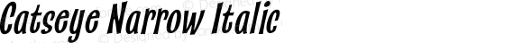 Catseye Narrow Italic