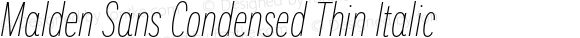 Malden Sans Condensed Thin Italic