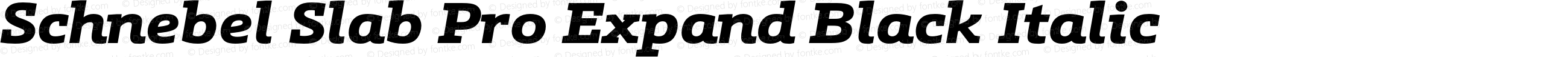 Schnebel Slab Pro Expand Black Italic