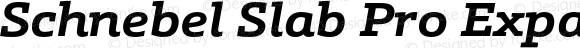 Schnebel Slab Pro Expand Bold Italic