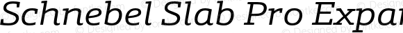Schnebel Slab Pro Expand Italic