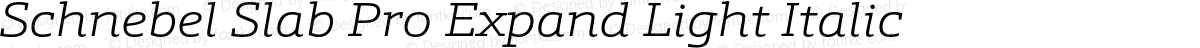 Schnebel Slab Pro Expand Light Italic