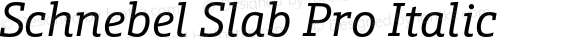 Schnebel Slab Pro Italic