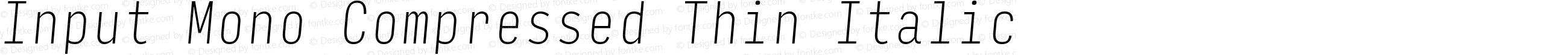 Input Mono Compressed Thin Italic