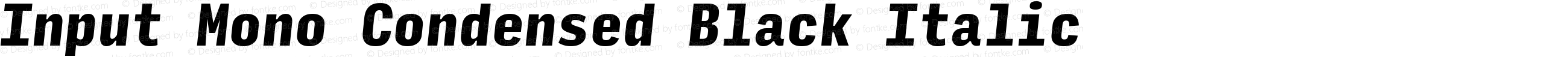 Input Mono Condensed Black Italic