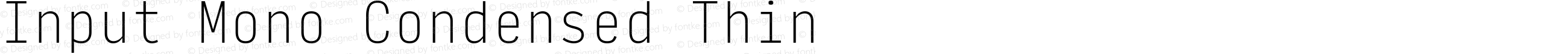 Input Mono Condensed Thin