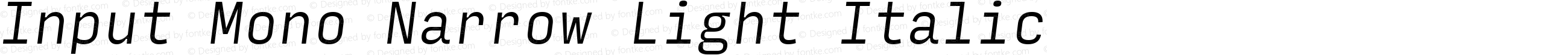 Input Mono Narrow Light Italic