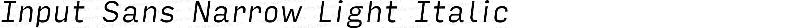 Input Sans Narrow Light Italic