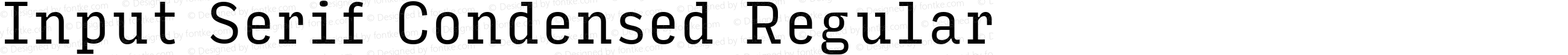 Input Serif Condensed Regular