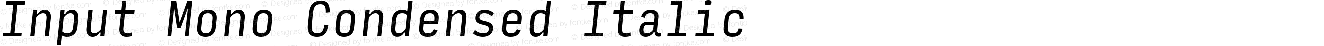 InputMonoCondensed Italic