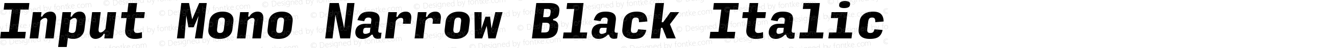 Input Mono Narrow Black Italic