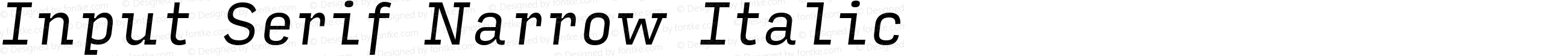 Input Serif Narrow Italic