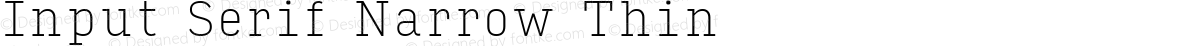 Input Serif Narrow Thin