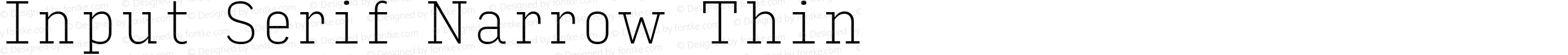 Input Serif Narrow Thin