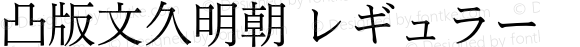 凸版文久明朝 レギュラー