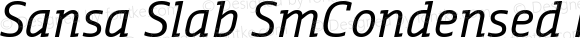 Sansa Slab SmCondensed Normal Italic