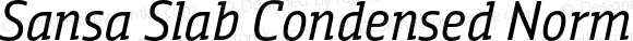 Sansa Slab Condensed Normal Italic