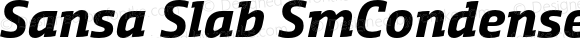 Sansa Slab SmCondensed Bold Italic