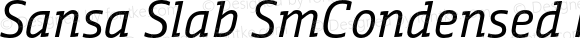 Sansa Slab SmCondensed Normal Italic