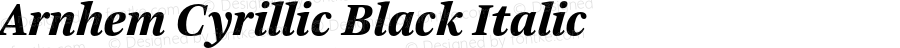 Arnhem Cyrillic Black Italic