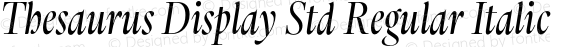 Thesaurus Display Std Regular Italic