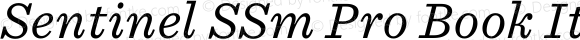 Sentinel SSm Pro Book Italic