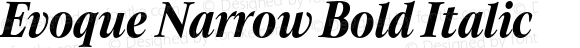 Evoque Narrow Bold Italic
