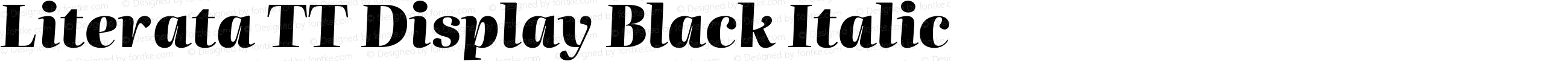 Literata TT Display Black Italic