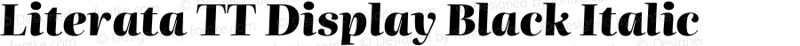 Literata TT Display Black Italic