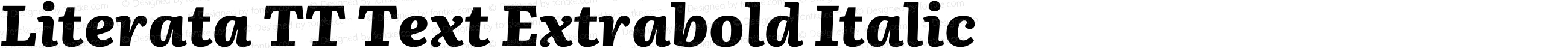 Literata TT Text Extrabold Italic