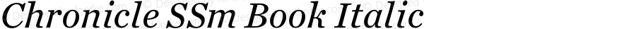 Chronicle SSm Book Italic