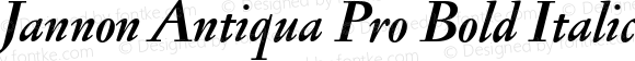 Jannon Antiqua Pro Bold Italic