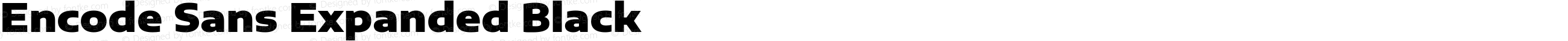 Encode Sans Expanded Black