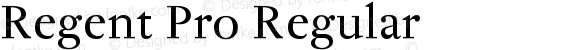 Regent Pro Regular