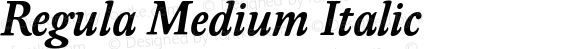 Regula Medium Italic Version 001.001