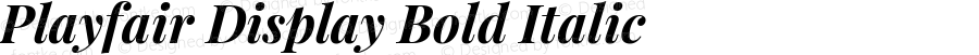 Playfair Display Bold Italic