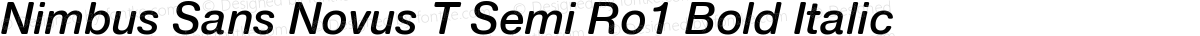 Nimbus Sans Novus T Semi Ro1 Bold Italic