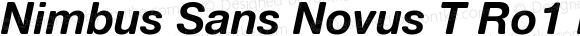 Nimbus Sans Novus T Ro1 Bold Italic