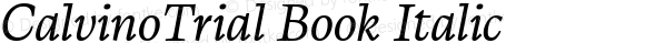 CalvinoTrial Book Italic