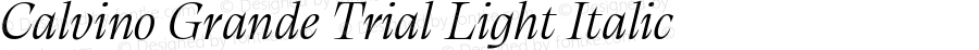 Calvino Grande Trial Light Italic