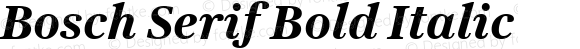 Bosch Serif Bold Italic