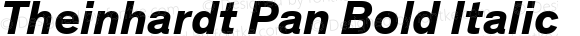 Theinhardt Pan Bold Italic
